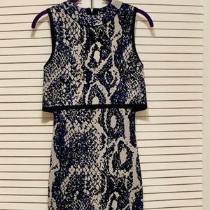 Snake print sweater dress